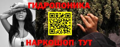 jwh Моздок