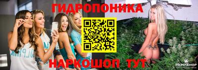 jwh Моздок