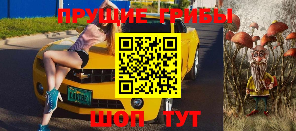 Псилоцибиновые грибы Psilocybe  Вход с VPN  Чебаркуль 