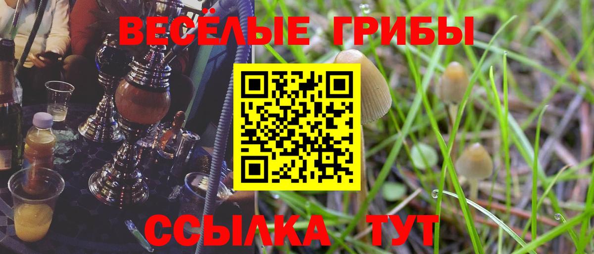 Псилоцибиновые грибы мицелий Чебаркуль